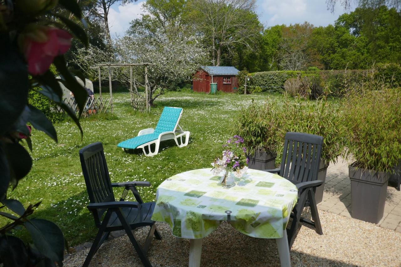 Grand Studio Duplex Avec Jardin La Trinité-sur-Mer Exteriör bild