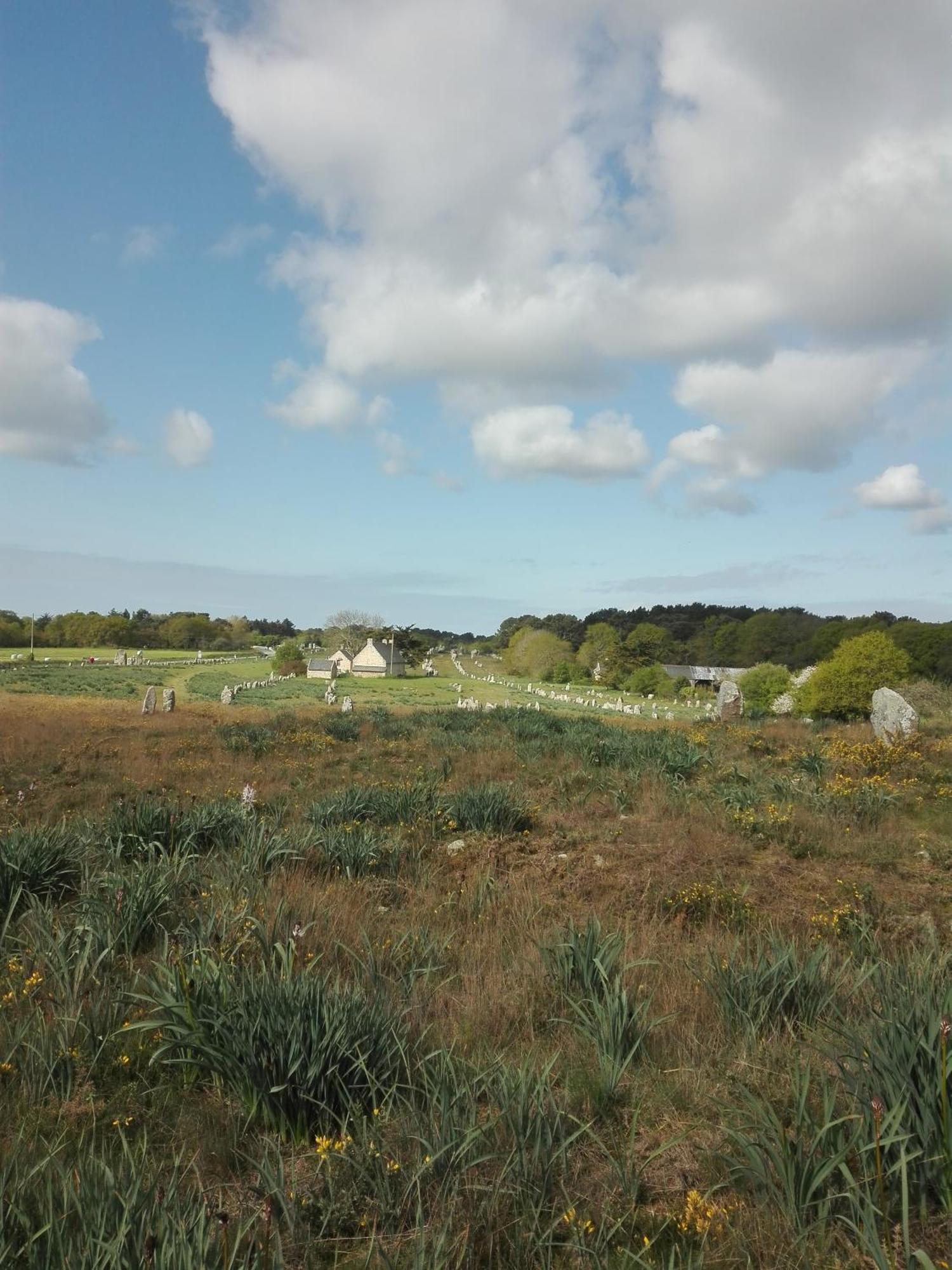 Grand Studio Duplex Avec Jardin La Trinité-sur-Mer Exteriör bild
