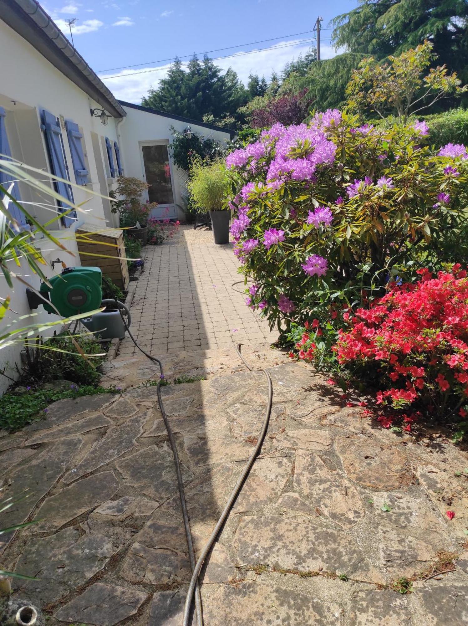 Grand Studio Duplex Avec Jardin La Trinité-sur-Mer Exteriör bild