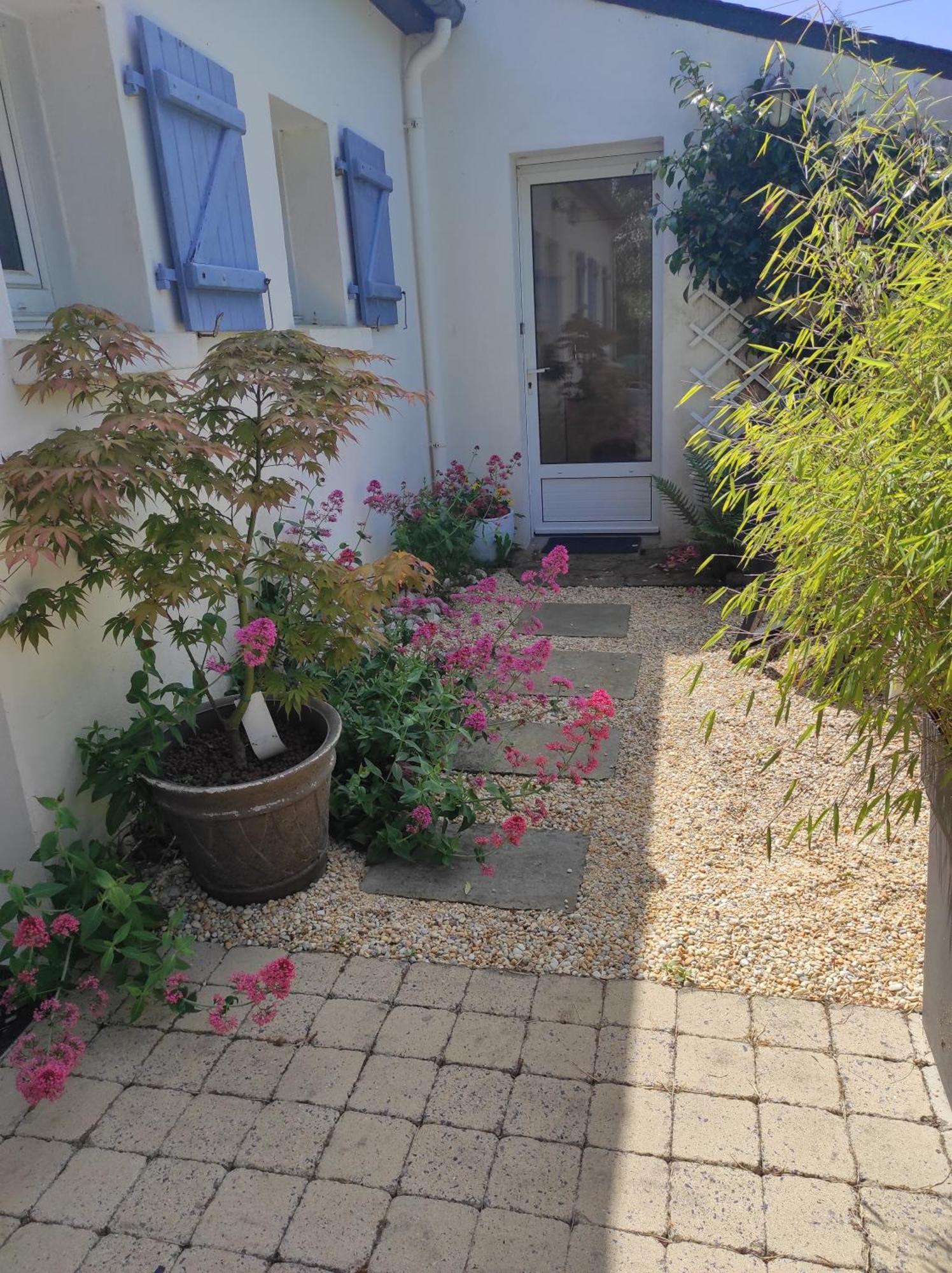 Grand Studio Duplex Avec Jardin La Trinité-sur-Mer Exteriör bild