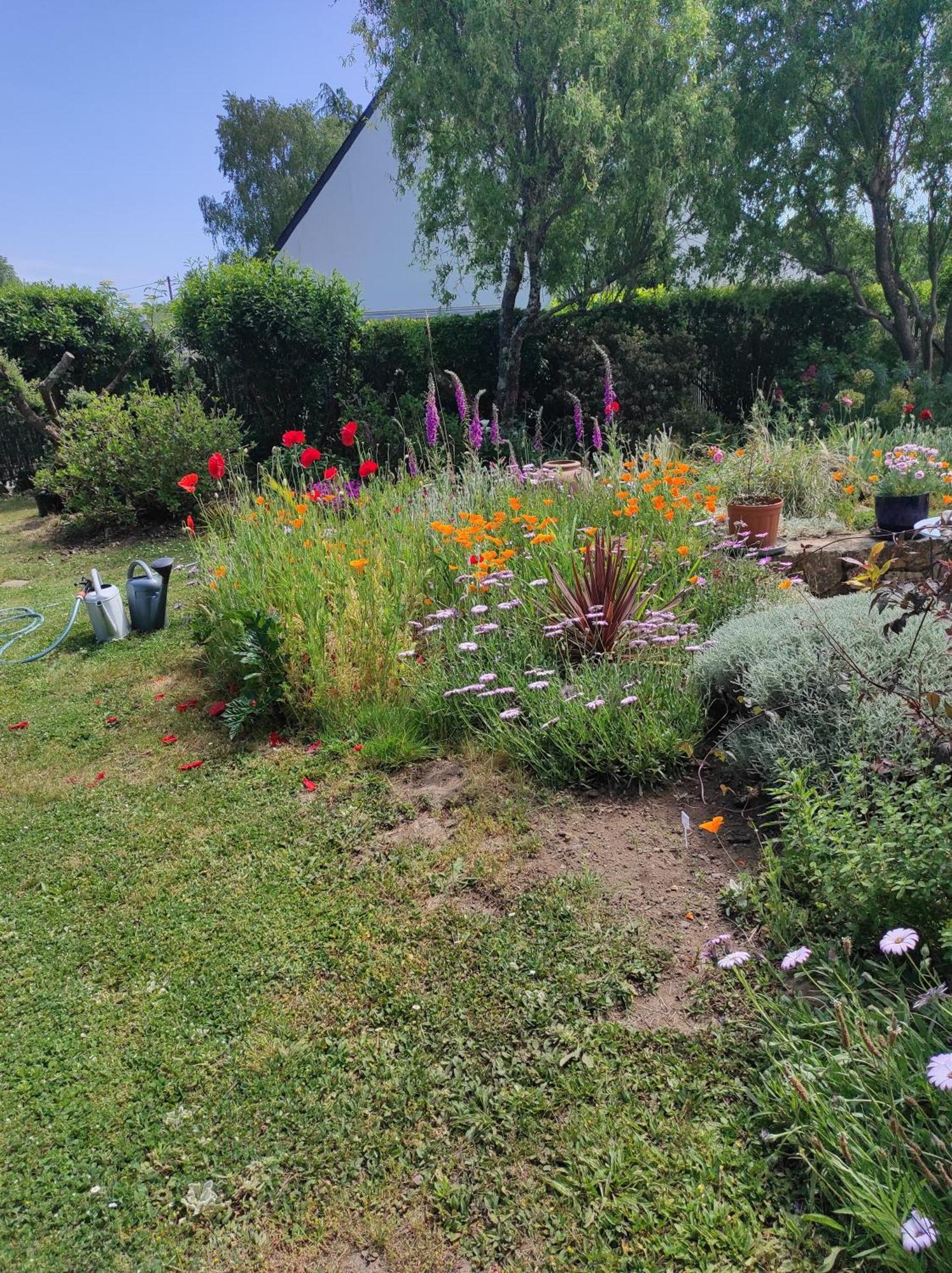 Grand Studio Duplex Avec Jardin La Trinité-sur-Mer Exteriör bild